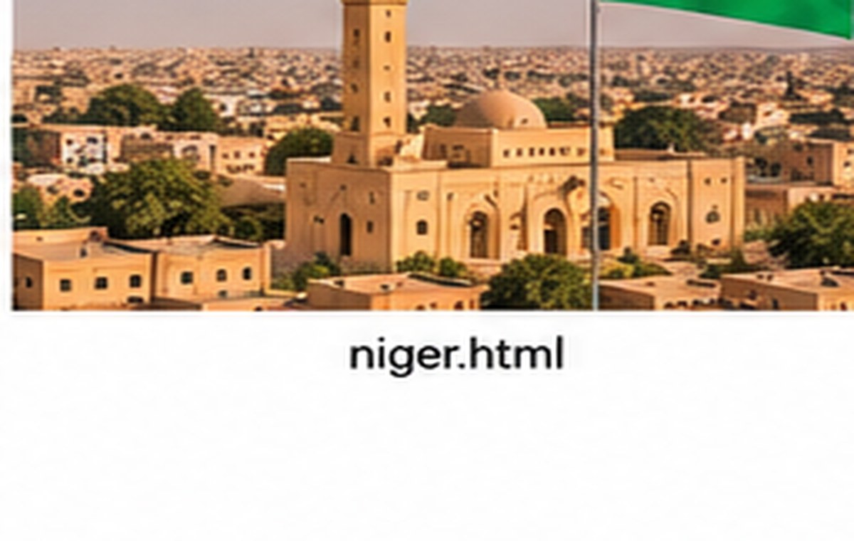 Financial sector overview — Niger