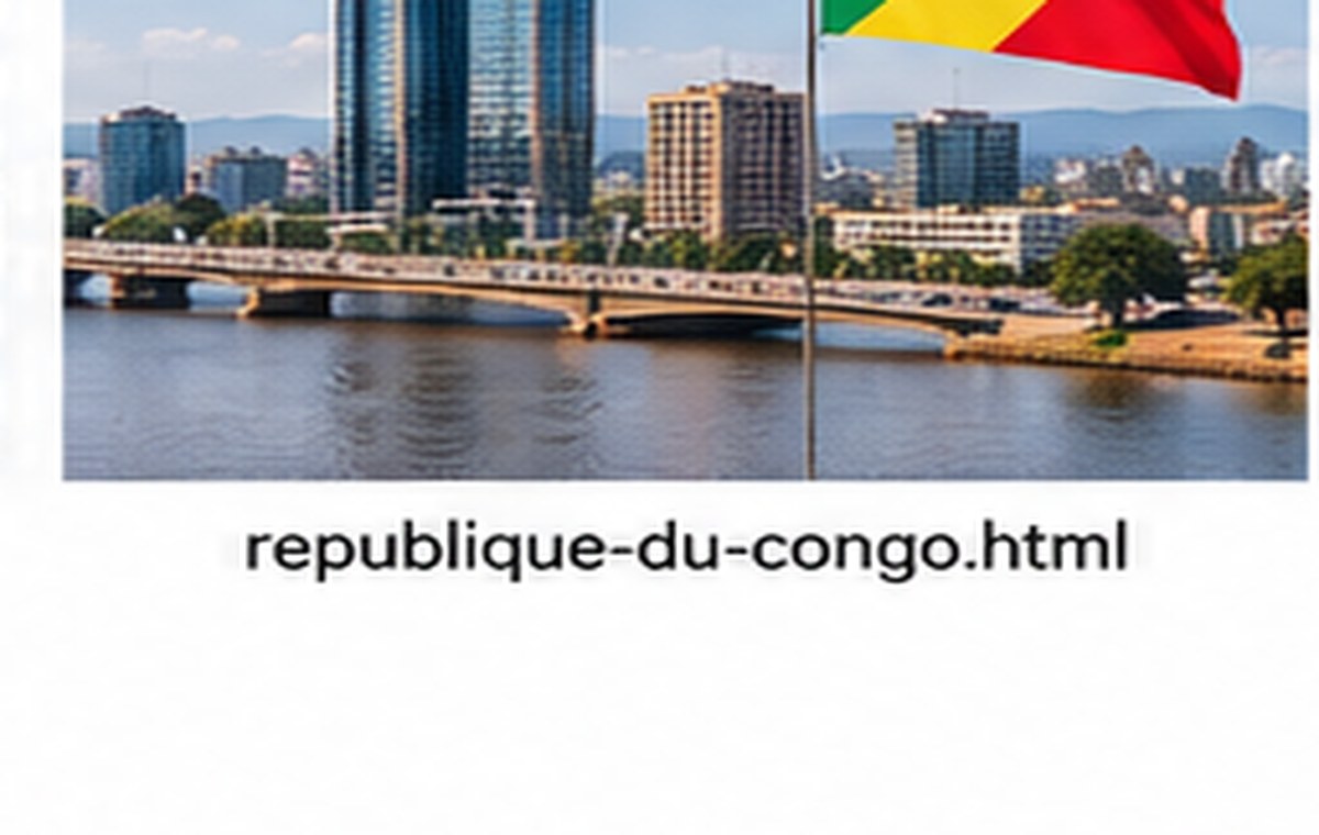 Financial sector overview — Republic of the Congo