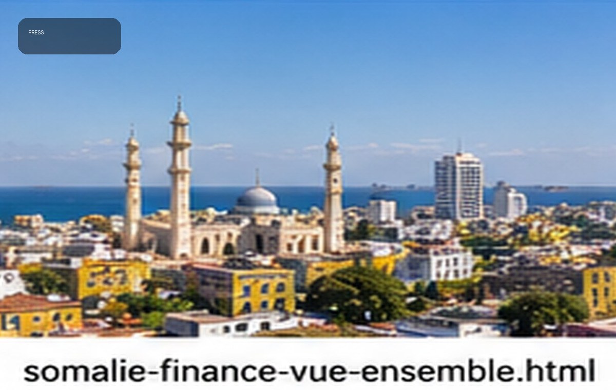 Presse économique et financière — Somalie