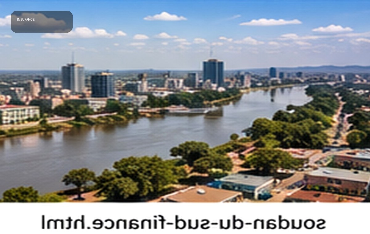 Insurance and financial market — South Sudan