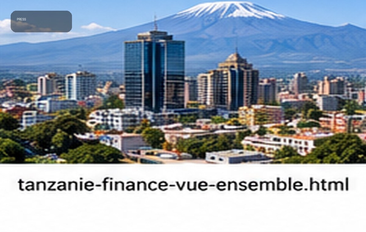 Economic and financial press — Tanzania