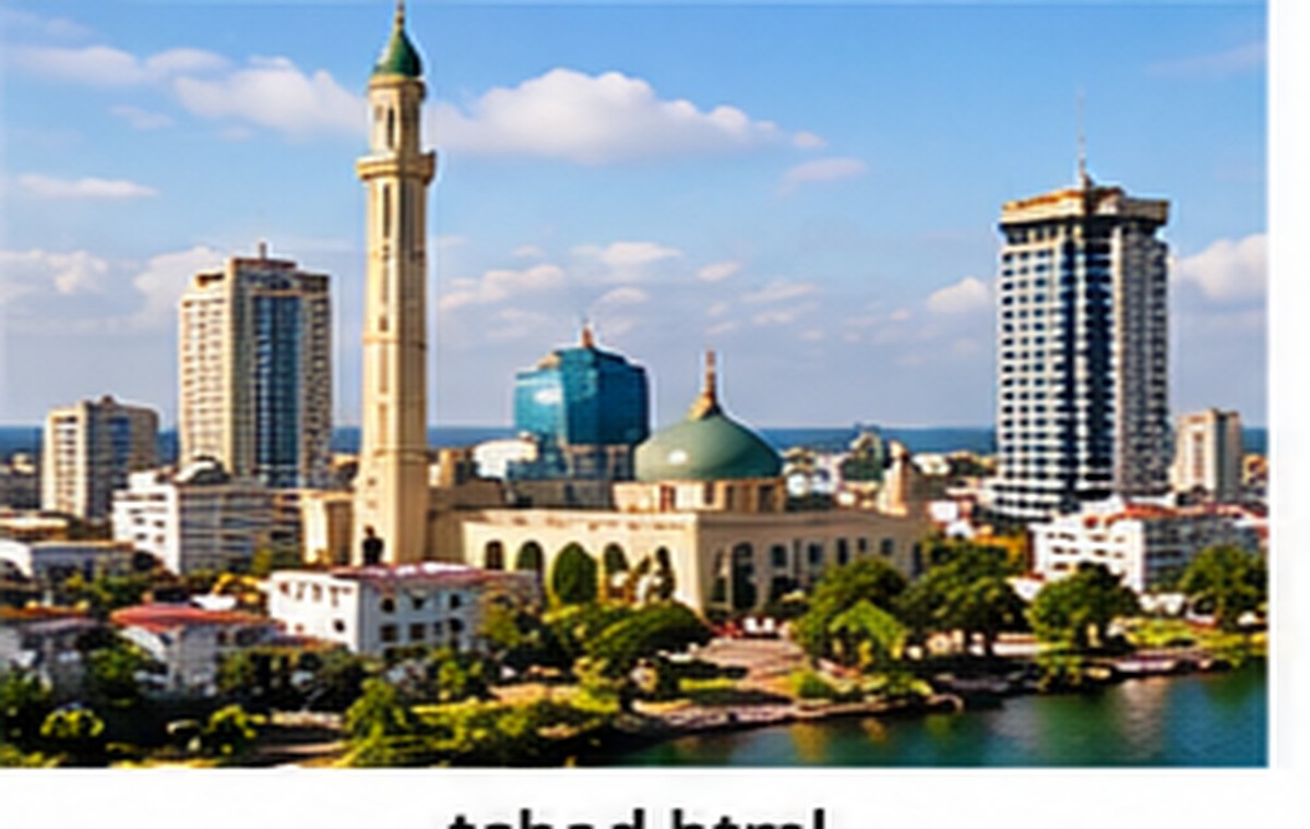 Financial sector overview — Chad