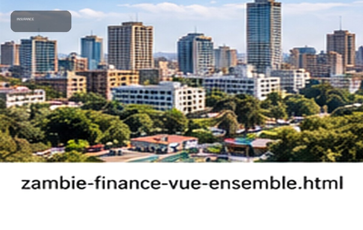 Assurances et marché financier — Zambie