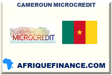 CAMEROUN MICROCREDIT 2025